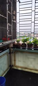 Balcony Image of 1575 Sq.ft 3 BHK Apartment / Flat for sale in City High, Tollygunge Kolkata for Rs. 18000000