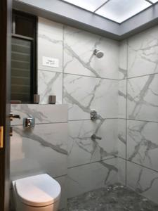 Common Bathroom Image of 1014 Sq.ft 2 BHK Apartment / Flat for sale in Paras Rahul Downtown Phase II, Punawale Pune for Rs. 9100000