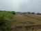 Panjapur trichy Plot View 2