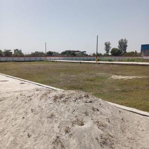 Tikra Plot View 2
