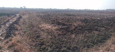 Image of 1089 Sq.ft Residential Plot / Land for sale in Pirkone, Navi Mumbai for Rs. 665000