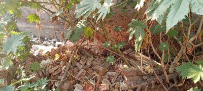 Image of 720 Sq.ft Residential Plot / Land for sale in Sector 93, Gurgaon for Rs. 5500000