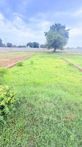 Image of 900 Sq.ft Residential Plot / Land for sale in Kishor Pura, Vrindavan for Rs. 1500000