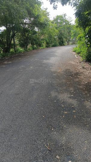 7th Phase Main Image 1