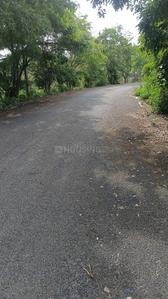 7th Phase Plot View 1