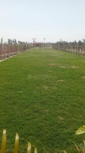 Image of 1000 Sq.ft Residential Plot / Land for sale in Gaura, Lucknow for Rs. 800000
