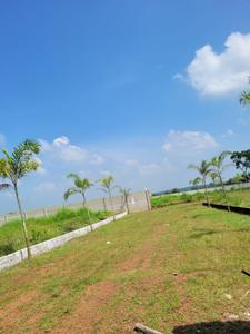 ramrastha greens Plot View 3