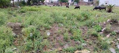 Residential Plot