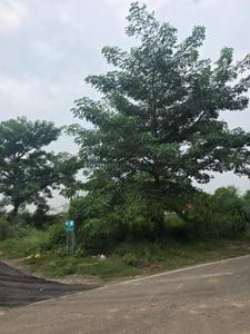 Image of 120 Sq.ft Residential Plot / Land for sale in Zeta I, Greater Noida for Rs. 13500000