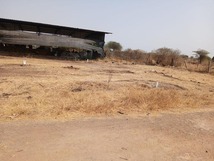 Ojhar Main Image 1