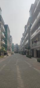 Image of 1305 Sq.ft 2.5 BHK Builder Floor for sale in Signature Global City 63A, Sector 63, Gurgaon for Rs. 25000000