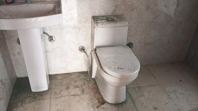 Image of 1045 Sq.ft 2 BHK Apartment / Flat for sale in ACE Divino, Noida Extension, Greater Noida for Rs. 9489000