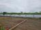 Perne Plot View 2