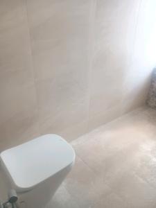 Common Bathroom Image of 3550 Sq.ft 4 BHK Apartment / Flat for sale in Kondapur Hyderabad for Rs. 43215000