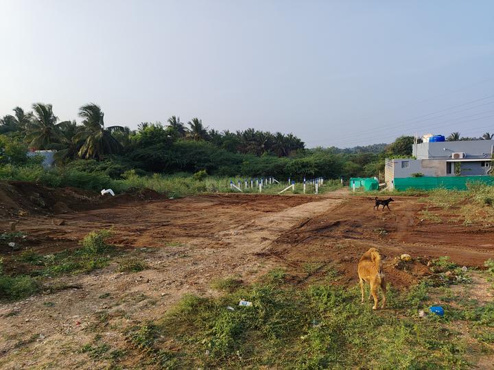 Kuniyamuthur Main Image 1