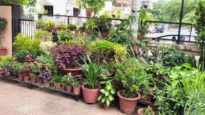 Balcony Image of 2000 Sq.ft 2 BHK Builder Floor for rent in Navrangpura Ahmedabad for Rs. 40000