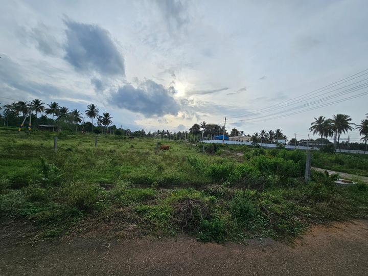 Varakodu Main Image 1