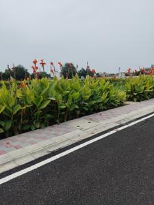 Image of 1287 Sq.ft Residential Plot / Land for sale in Dameera City, Maujpur, Faridabad for Rs. 12300000