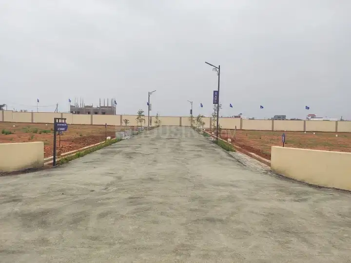 Peedampalli Main Image 1