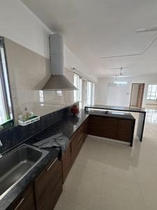 Kitchen Image of 3875 Sq.ft 4 BHK Apartment / Flat for rent in Corner Utopian Corner, New Alkapuri Vadodara for Rs. 50000
