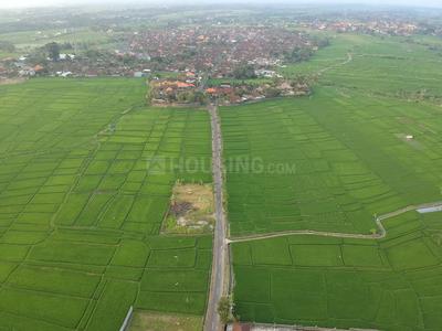 Jait Plot View 2