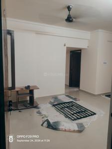 Hall Image of 1600 Sq.ft 3 BHK Apartment / Flat for rent in South Civil Lines Jabalpur for Rs. 26000