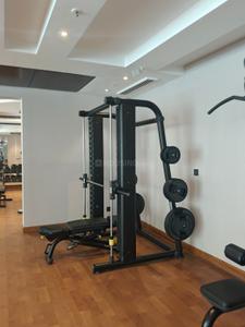 Image of 5000 Sq.ft 4 BHK Apartment / Flat for rent in Suncity Jewel Of India, Bajaj Nagar, Jaipur for Rs. 165000