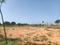 Adibatla Plot View 2
