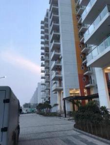 Image of 1900 Sq.ft 3 BHK Apartment / Flat for rent in Hero Homes, Sector 88, Mohali for Rs. 60000