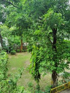 Image of 1500 Sq.ft 3 BHK Apartment / Flat for rent in DDA Flats, Sukhdev Vihar, New Delhi for Rs. 60000