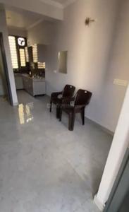Hall Image of 480 Sq.ft 1 BHK Independent House for rent in Sector 11 Panchkula for Rs. 21000