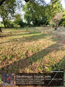 Image of 388 Sq.ft Residential Plot / Land for sale in Kudasan, Gandhinagar for Rs. 27160000