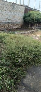Image of 720 Sq.ft Residential Plot / Land for sale in Moti Jheel, Gwalior for Rs. 1750000