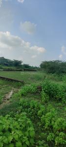 Image of 1674 Sq.ft Residential Plot / Land for sale in States Lucknow, Jankipuram, Lucknow for Rs. 1674000