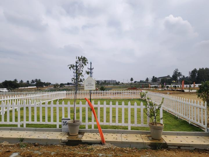 Ruby Sizzle Heritage Main Image 1