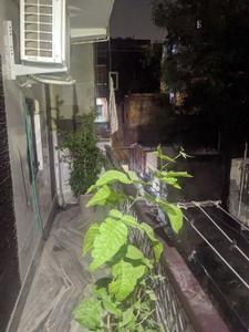Balcony Image of 1000 Sq.ft 2.5 BHK Apartment / Flat for rent in Sector 15 Dwarka New Delhi for Rs. 26000