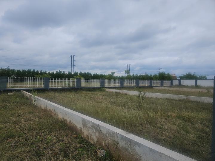 Uruli Kanchan Main Image 1