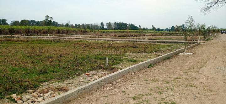 Ekta Avenue III Main Image 1