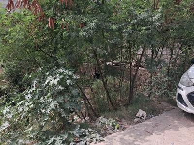Sector 104 Plot View 2