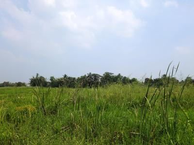 Image of 720 Sq.ft Residential Plot / Land for sale in Nest Valley, Joka, Kolkata for Rs. 154214