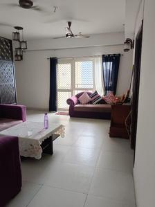 Living Room Image of 1913 Sq.ft 3.5 BHK Apartment / Flat for rent in Nimbus The Golden Palms, Sector 168 Noida for Rs. 52000