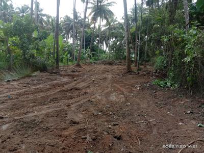Image of 5222 Sq.ft Residential Plot / Land for sale in Amalanagar, Thrissur for Rs. 6000000