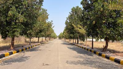 Raghavendra Colony Plot View 2