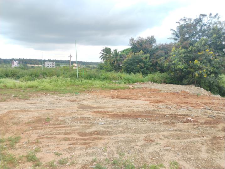 Kommaghatta Main Image 1