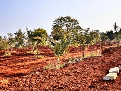 Image of 4650 Sq.ft Residential Plot / Land for sale in Chevella, Hyderabad for Rs. 6100000