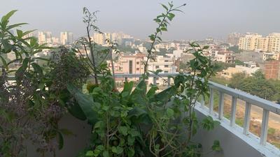 Balcony Image of 1850 Sq.ft 4 BHK Penthouse for sale in Gomti Nagar Extension Lucknow for Rs. 22800000