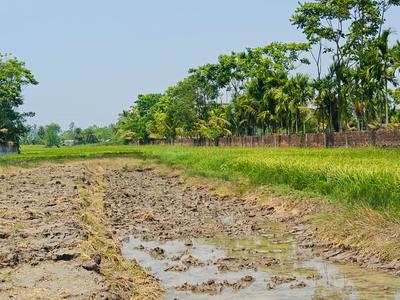 Image of 1440 Sq.ft Residential Plot / Land for sale in Sonarpur, Kolkata for Rs. 499999