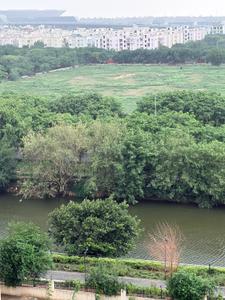 Image of 450 Sq.ft 1 BHK Apartment / Flat for rent in Vikram Golf View Condos, Sector 19 Dwarka, New Delhi for Rs. 22000