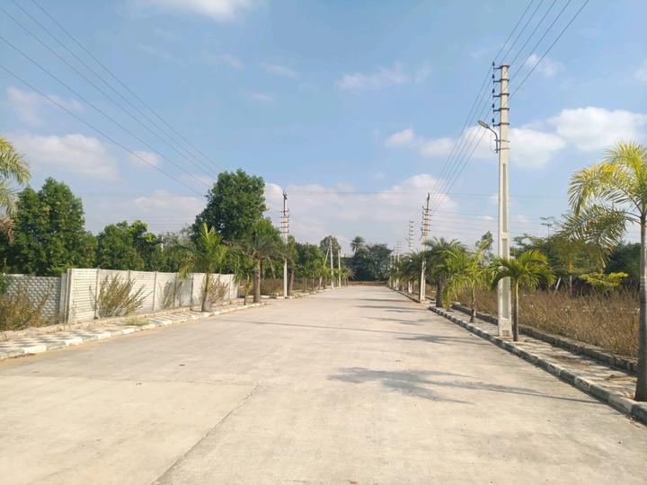 Golden City Main Image 1