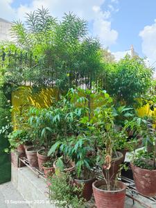 Image of 3762 Sq.ft Residential Plot / Land for sale in Jaypee Wishtown, Sector 128, Noida for Rs. 200000000